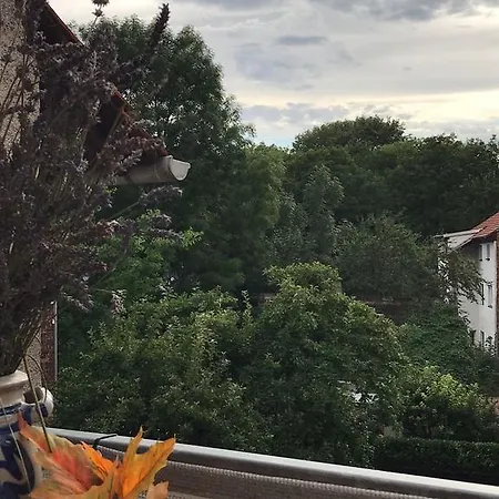 Apartment Blick In Den Schlossgarten *